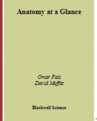 Image of e-book Anatomy at a Glance