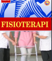 e-book Fisioterapi